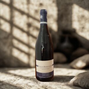 Coteaux Bourguignon "Vieilles Vignes"