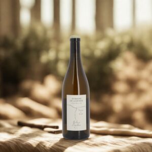Arbois Pupillin Chardonnay "Terre du Lias"