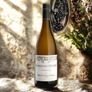 Bourgogne blanc "Côtes d'Or Clos du Moulin"