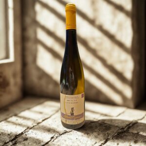 Muscat "L'Ottonel"