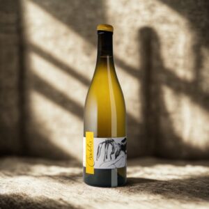 Chablis Vent d'Anges Mise Tardive